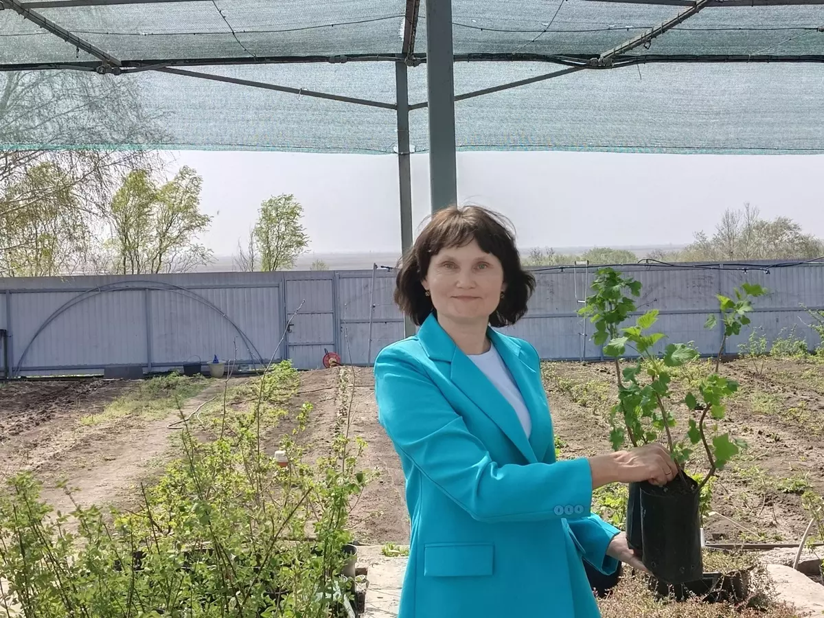 Победительница проекта «Четыре дачи» рассказала, как спасти растения после майских заморозков