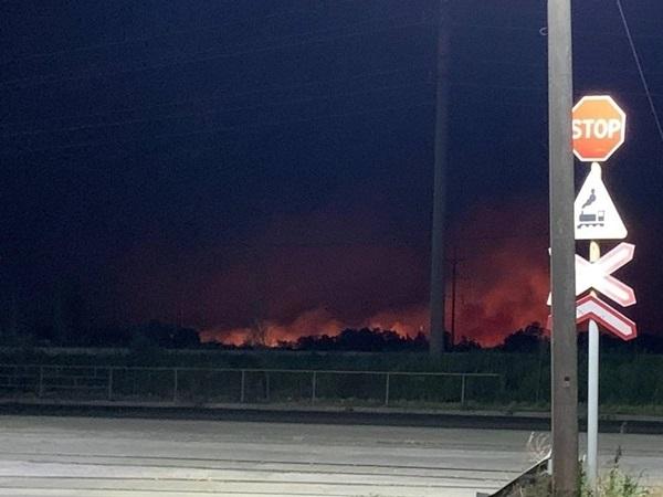 Крупный ландшафтный пожар на Луговой в Ростове тушили 16 часов