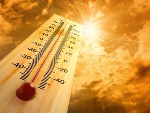 Аномальная жара накроет жителей Ростовской области 4 июня