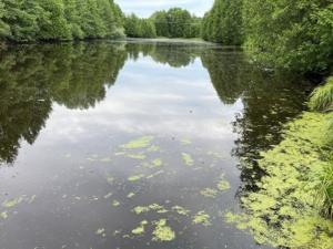 В Нижегородской области нашли мертвым пропавшего пятилетнего ребенка
