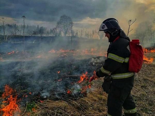 Обгоревший труп 19-летнего парня нашли в траве в Таганроге