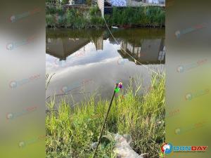 В Батайске несколько дней ищут убежавшего крокодила