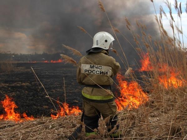 Штормовое предупреждение продлили в 19 районах Дона из-за высокой пожароопасности
