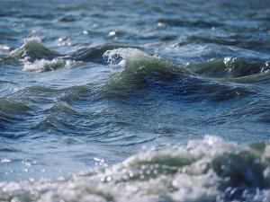 Под Белой Калитвой в реке утонул 14-летний мальчик