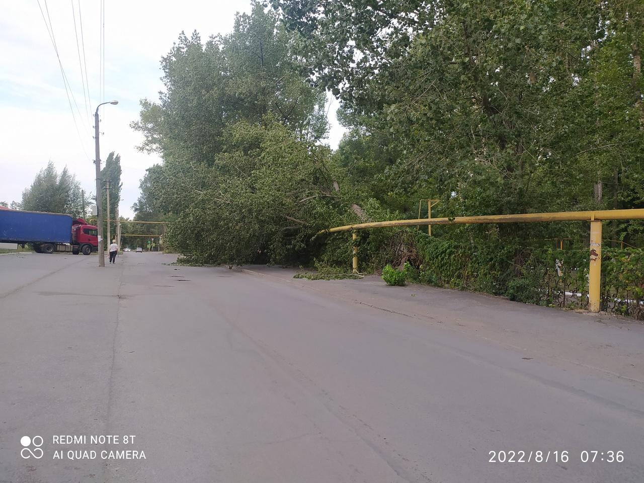 В Гуково упавшее дерево пробило крышу дома » DonDay - новости  Ростова-на-Дону. Происшествия, события, новости бизнеса, политики, культуры  и спорта.