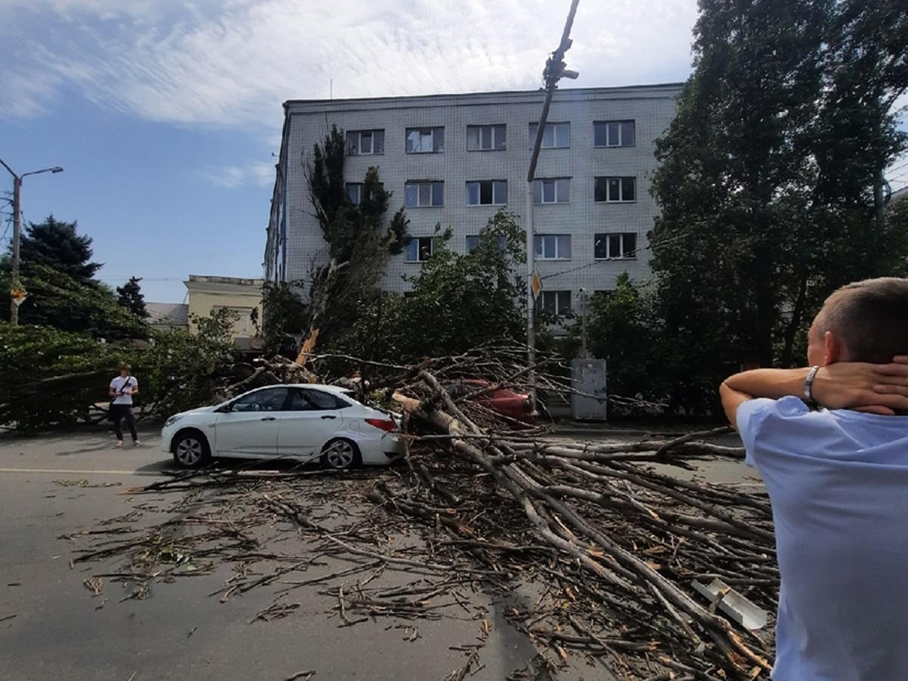 Падение дона в метрах. В Ростове упало дерево. Рухнул дом. Сильный ветер. Дерево упало на дом.