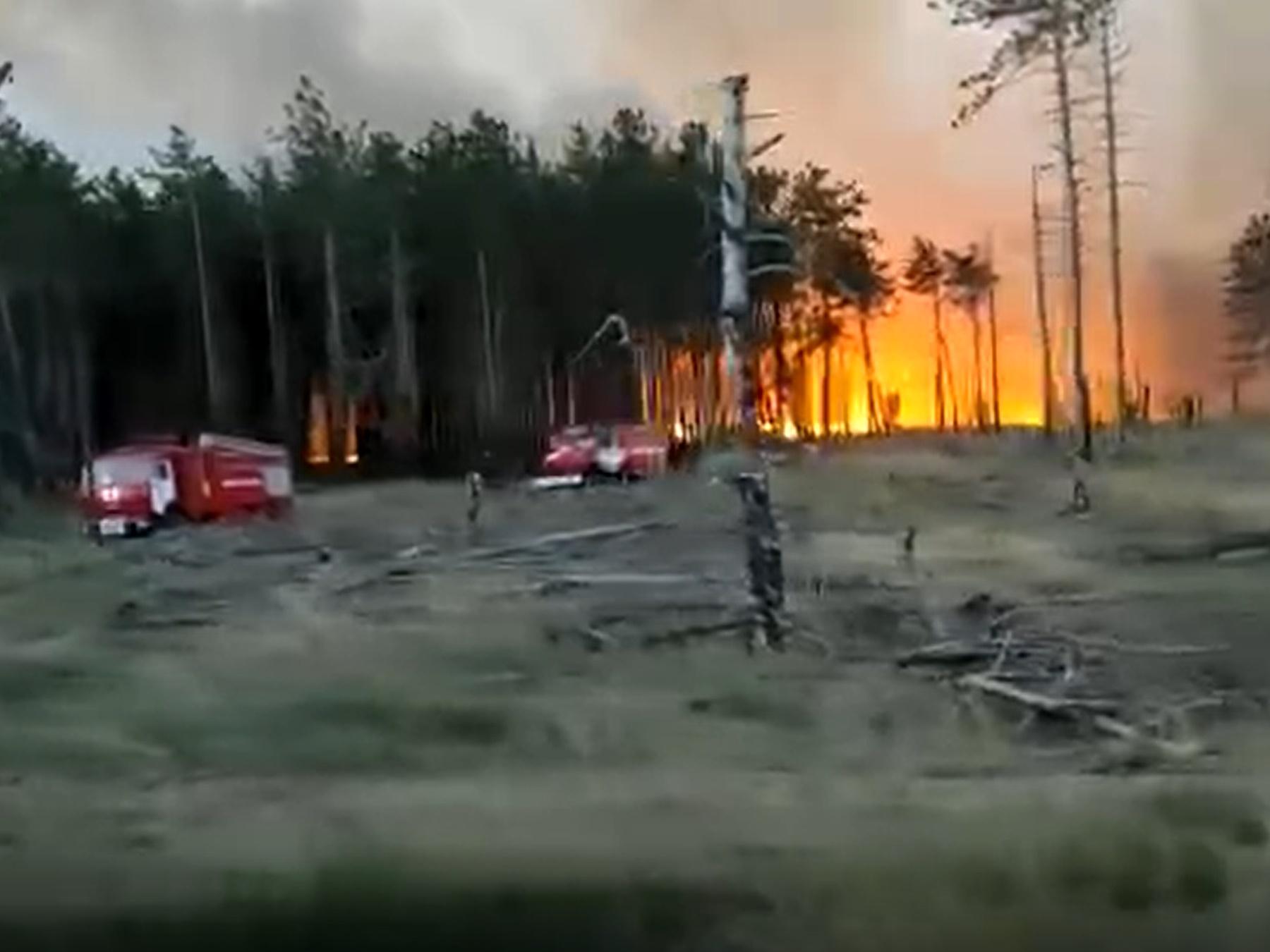 Пожар в каменском. Пожар в Каменском районе Ростовской области. Пожар в лесу. Лес после пожара.
