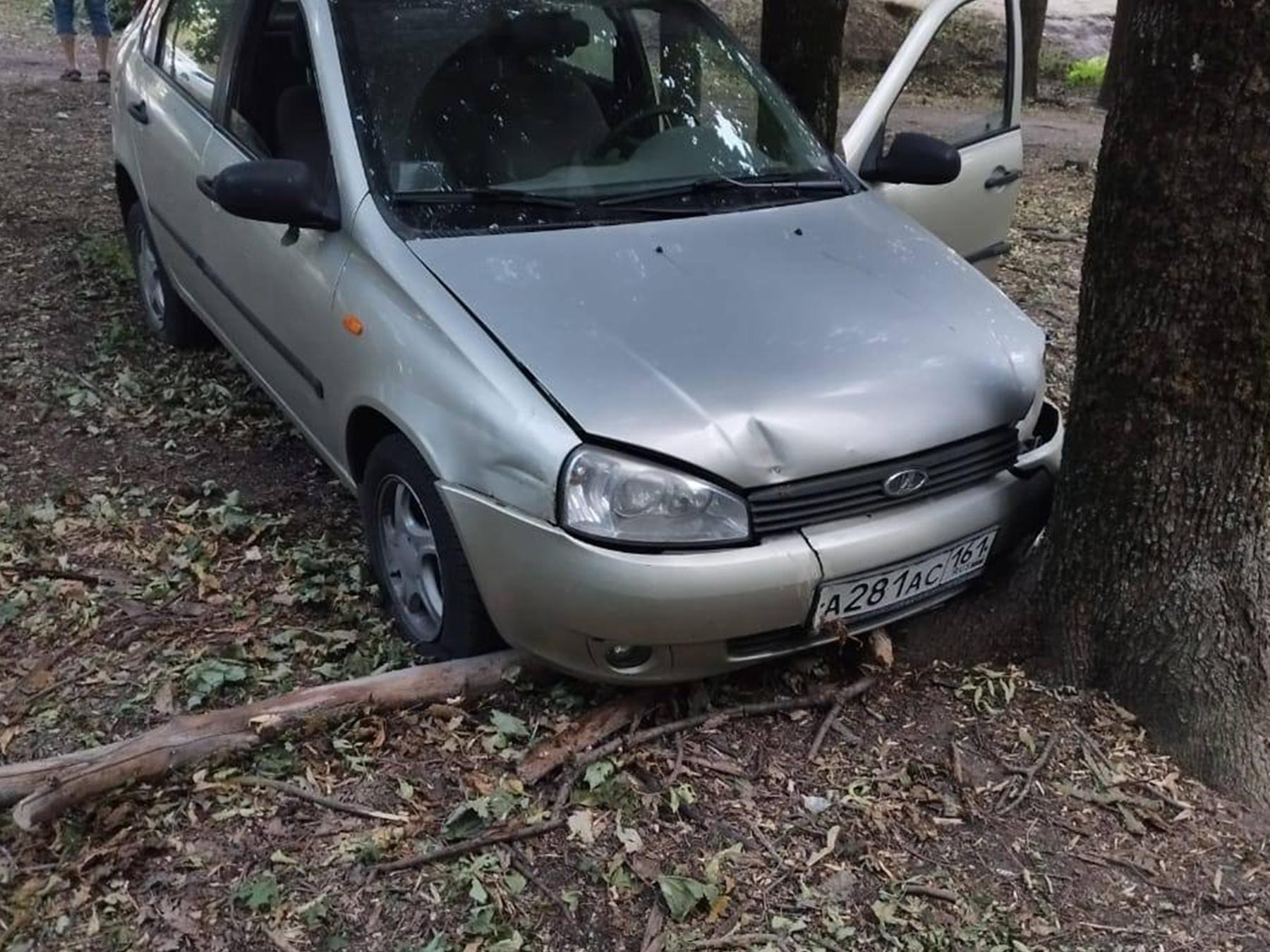 В ростове нашли лепесток