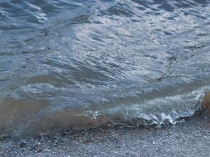 В Ростовской области почти на 40% пляжей загрязнена вода