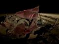 Видео с места жуткой аварии с пятью погибшими в Ростовской области