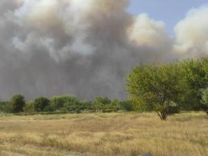 Спустя двое суток спасатели потушили ландшафтный пожар в Усть-Донецком районе