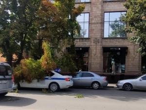 В Шахтах дерево упало на полицейскую машину