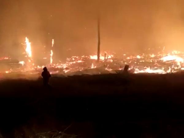 Площадь лесного пожара в Каменском районе увеличилась до 40 гектаров
