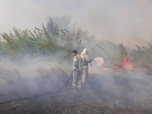 Лесной пожар в Верхнедонском районе локализовали на площади 269 гектаров