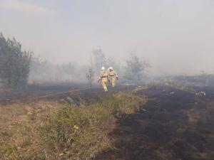 В Верхнедонском районе спустя сутки потушили крупный лесной пожар