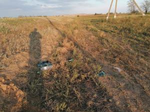 В Ростовской области 16-летний подросток на «Ладе» погиб в ДТП с «перевертышем»