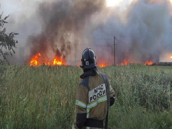 В Ростове рядом с базой отдыха сгорела мусорная свалка