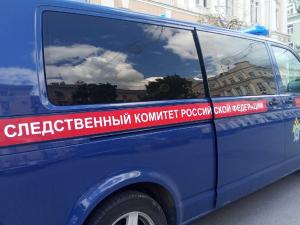 Глава СК взял на контроль дело о покушении на студентку в худучилище Ростова
