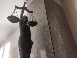 Суд арестовал подозреваемую в покушении на студентку худучилища в Ростове