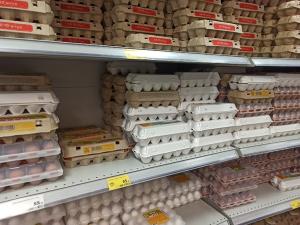Имущество обанкротившейся Птицефабрики им. Черникова выставили на торги