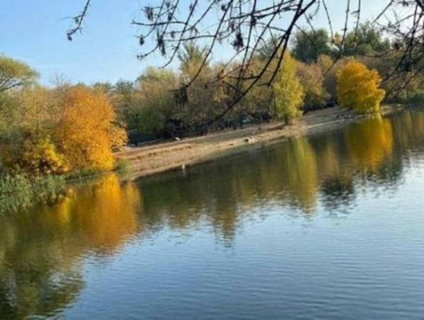 В Ростовской области обнаружили повешенным 17-летнего студента