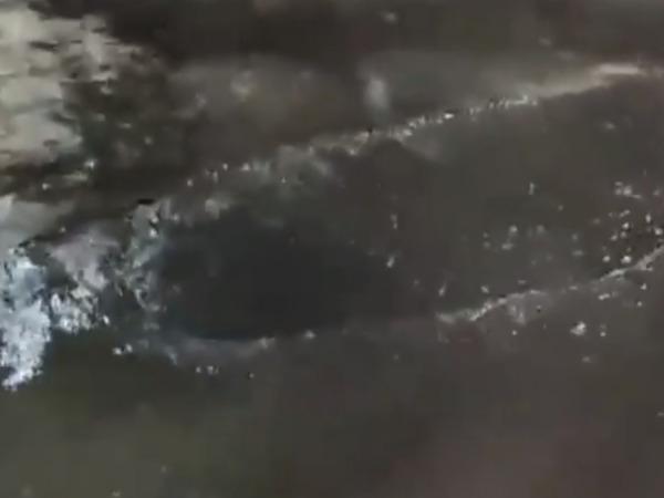 В Каменске из-под недавно отремонтированной дороги забил коммунальный ручей