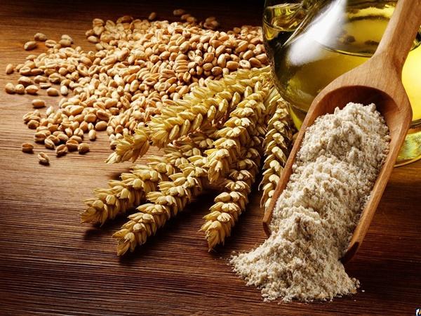 Ростовская область сохраняет лидерскую позицию по экспорту продукции АПК