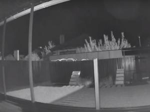 Взрыв в небе над Ростовом попал на камеры видеонаблюдения