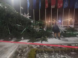 В Ростове установят новогоднюю елку, упавшую от ветра в январе