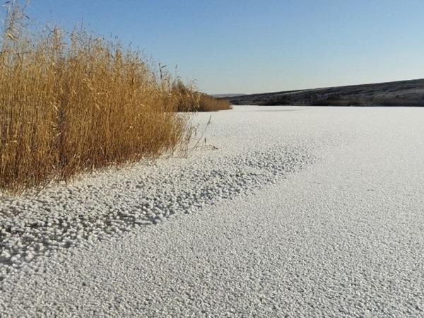 Жители Ростовской области стали свидетелями «морозных цветов» на водоемах