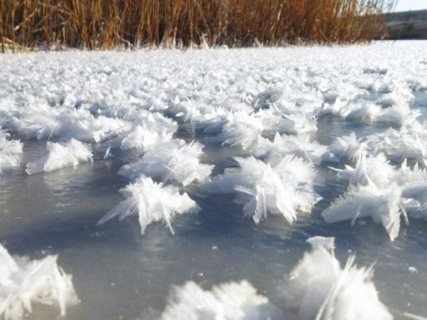 Жители Ростовской области стали свидетелями «морозных цветов» на водоемах