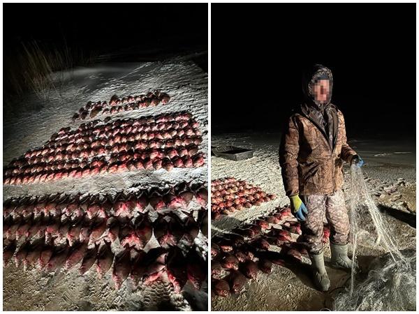 Браконьер выловил более 200 рыб из Цимлянского водохранилища
