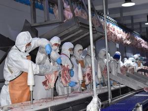 Часть имущества птицефабрики «Евродон» снова выставили на торги