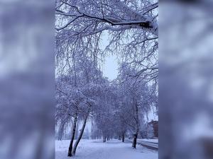 На север Ростовской области обрушился снегопад: фоторепортаж