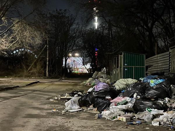 В центре Ростова образовалась огромная стихийная свалка