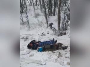 Видео с места ДТП на трассе под Шахтами, где погибли два человека