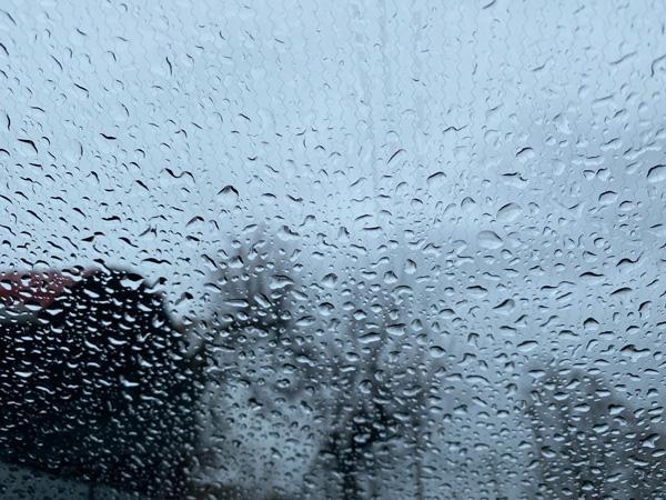 В Ростове на выходных ожидаются потепление и дожди