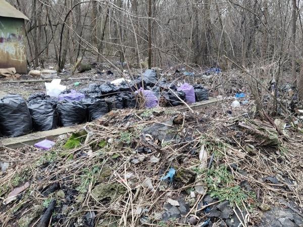 В Ростове роща СКА превратилась в свалку