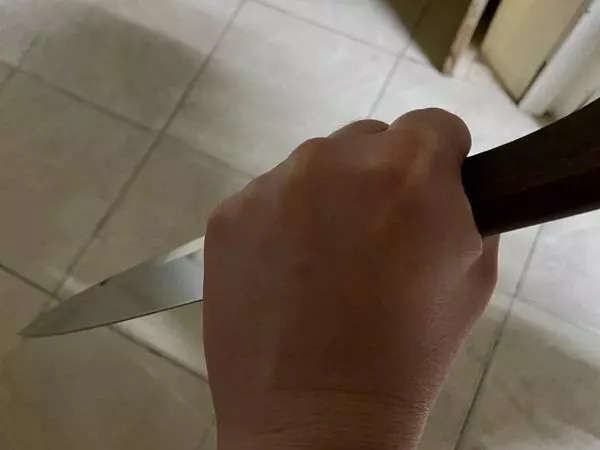 На Дону под суд пойдет девушка, зарезавшая мужа из-за споров в воспитании ребенка