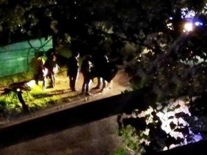 В Ростове во время мощного ливня погибла пожилая женщина