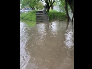 В Ростове из-за ливня улицы Таганрогская и Оганова ушли под воду