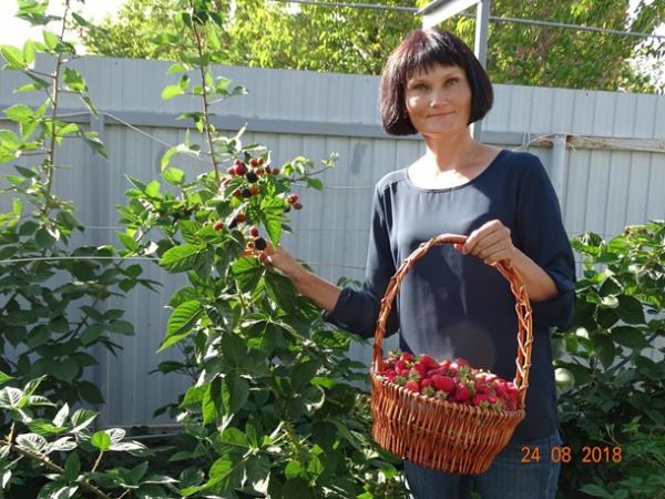 Победительница проекта «Четыре дачи» рассказала, почему может не цвести земляника