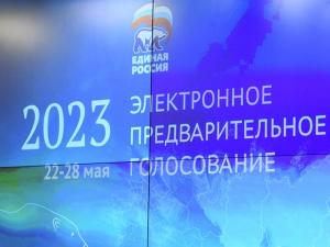 Более 242 тысяч донских избирателей поучаствовали в предварительном голосовании «Единой России» за первые 3 дня
