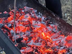 В Ростове годовалая девочка упала в раскаленный мангал