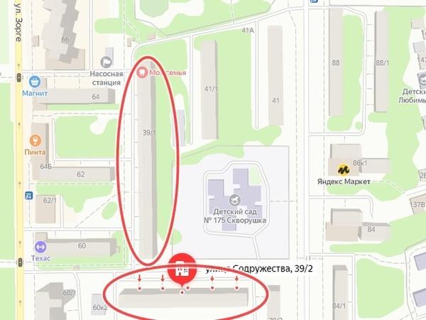 На Содружества в Ростове рискует упасть еще одно аварийное дерево