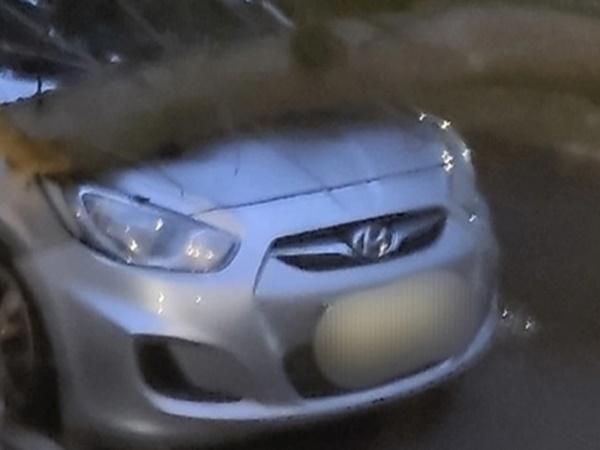 В Ростове в Александровке огромное дерево упало на иномарку » DonDay ...