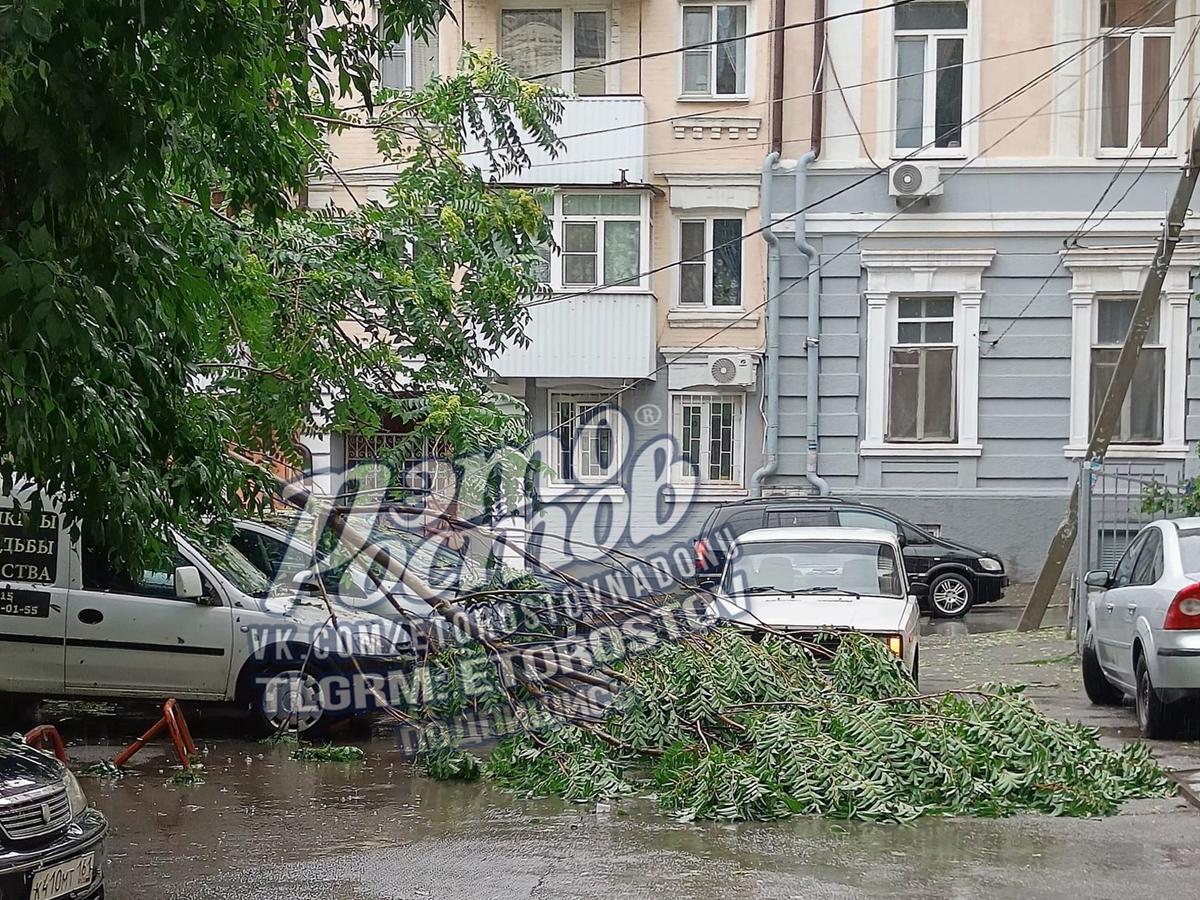 Ураганный ветер повалил несколько деревьев в Ростове » DonDay - новости  Ростова-на-Дону. Происшествия, события, новости бизнеса, политики, культуры  и спорта.