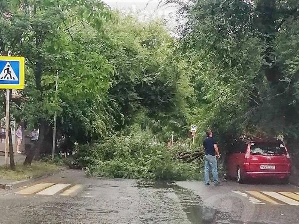 В Ростове огромная ветка упала на автомобиль