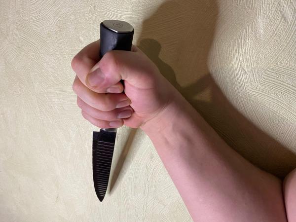 В СИЗО отправили подростка, устроившего резню в школе под Таганрогом
