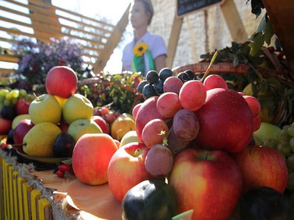 В Ростове 28 октября пройдет гастрономическая ярмарка